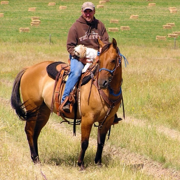 Meet your Posh Ambassador Posher, Gretta - Picture 9 of 15